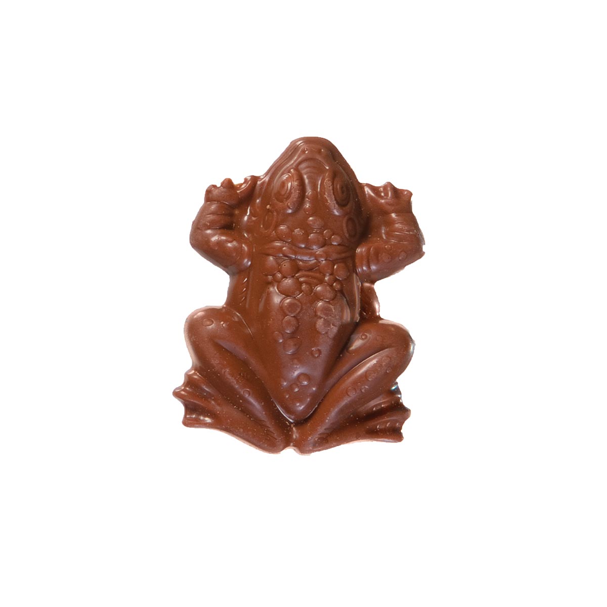 Harry Potter Chocolate Frog - Each