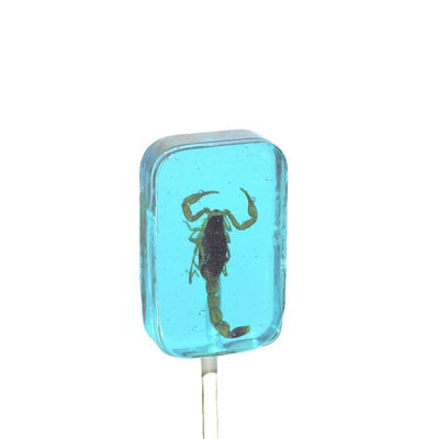 Hotlix Candy Scorpion Sucker Blueberry - Each