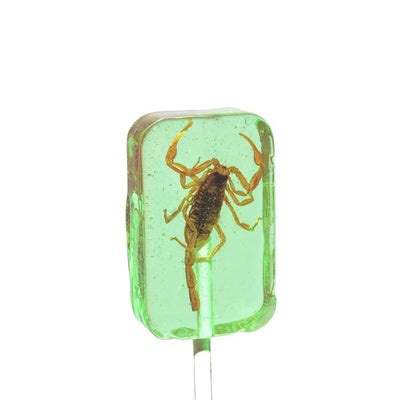 green scorpion lollipop