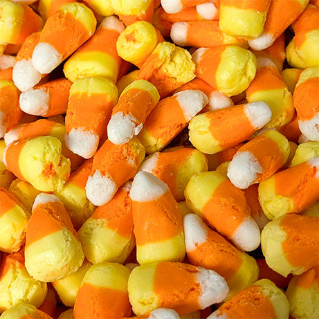 Freeze Dried Candy Corn