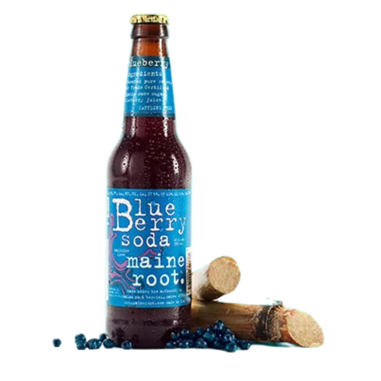 Maine Root Blueberry Soda 