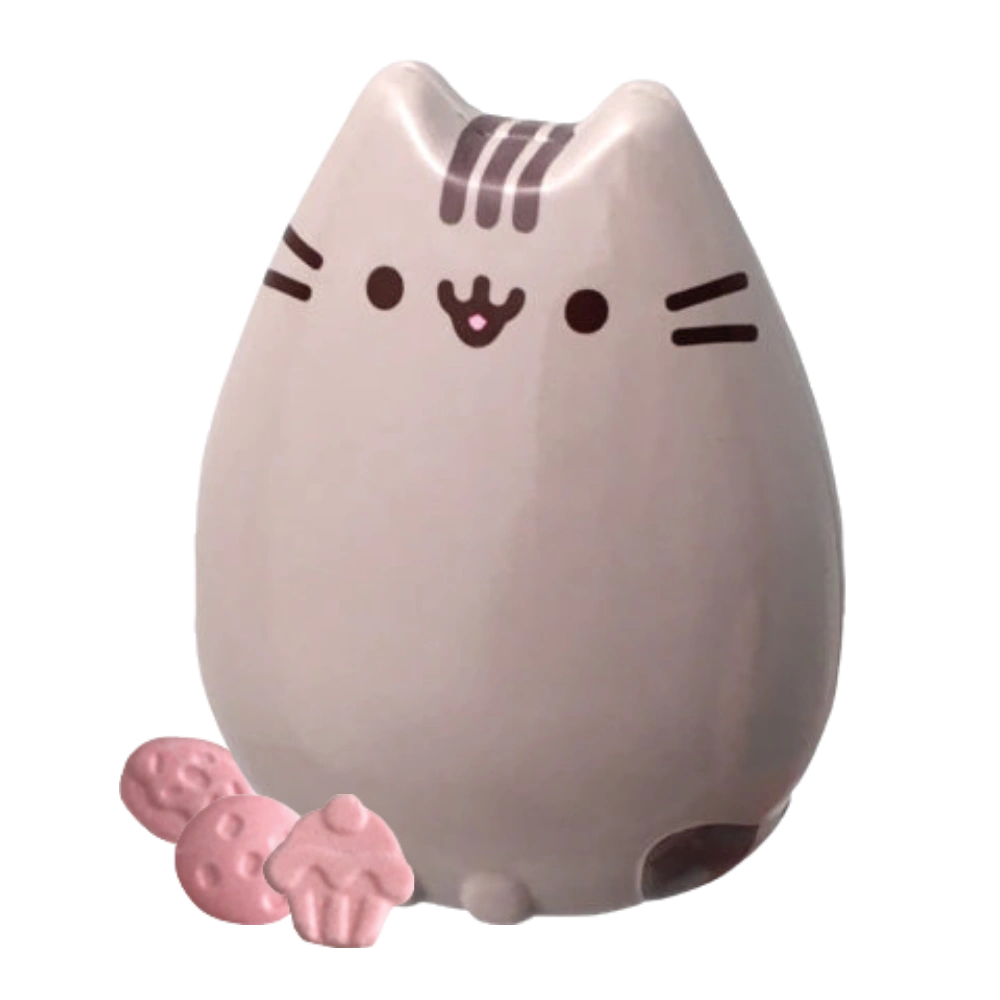 Pusheen Tin