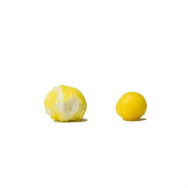 Freeze Dried Lemonheads