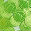 Gerrit Verburg Kiwi Green Chocolate Foil Coins