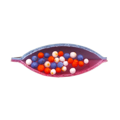 Gerrit Verburg Satellite Wafers - Each
