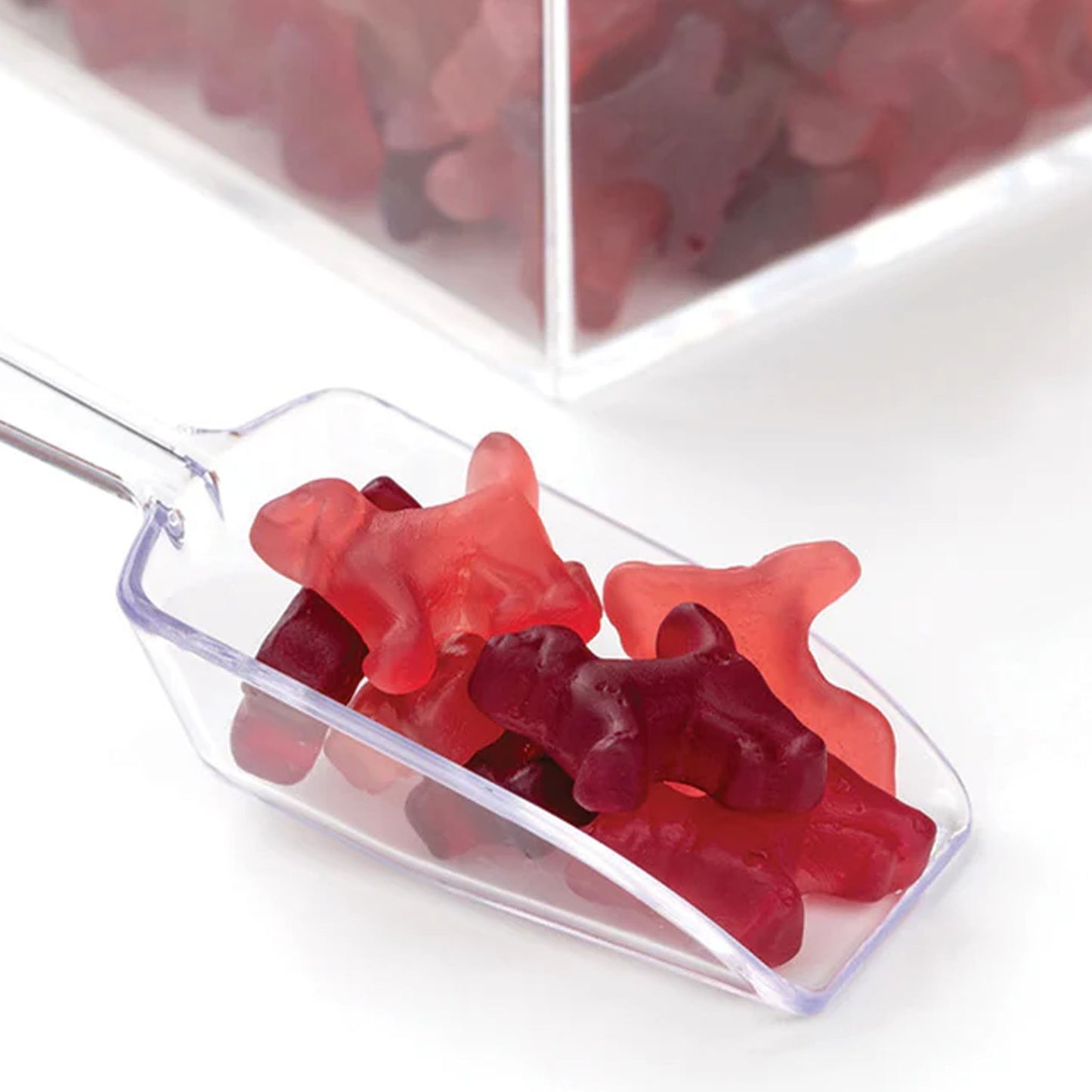 Red Licorice Beagles