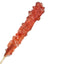 Strawberry Rock Candy Stick