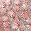 Sunrise Confections Peppermint Starlight Mints Red and White Pinwheels Bulk