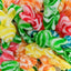 Vidal Candies Gummi Swirly Fish